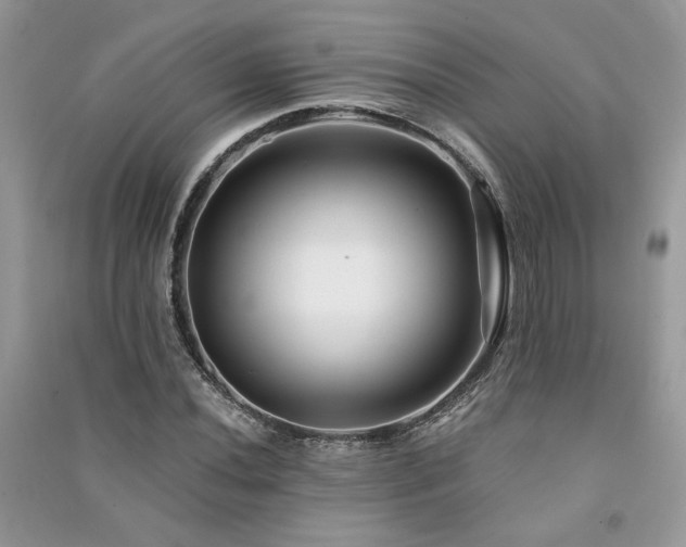 X0000091301020200708101303