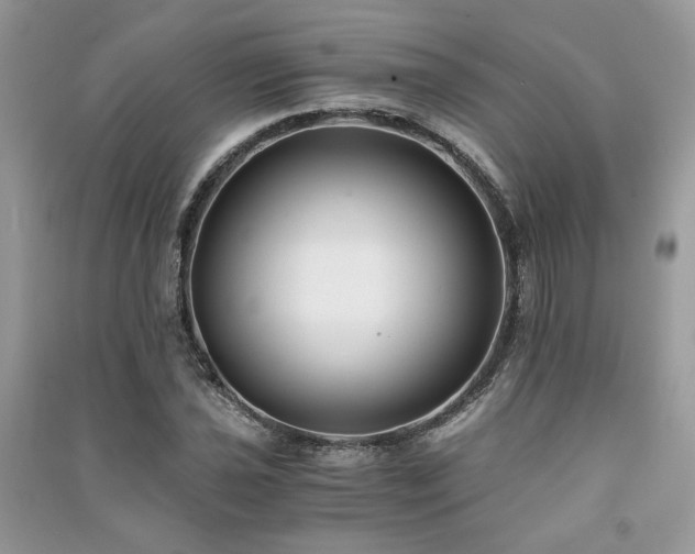 X0000091301021200708101303