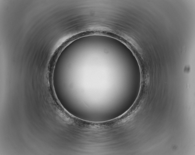 X0000091301022200708101303