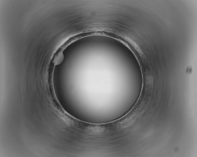 X0000091301023200708101303
