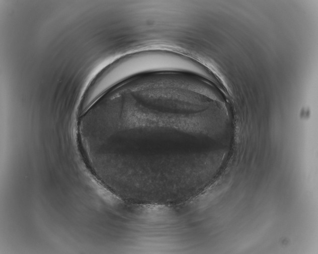 X0000091301024200708101303