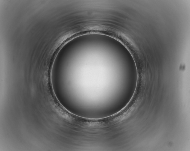 X0000091301025200708101303
