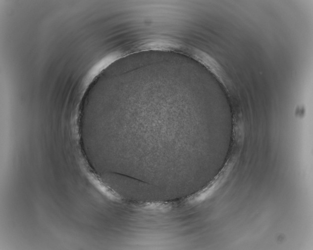 X0000091301026200708101303