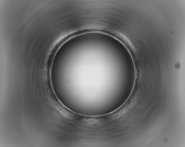 X0000091301027200708101303