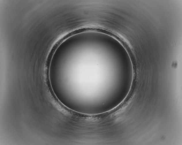 X0000091301029200708101303