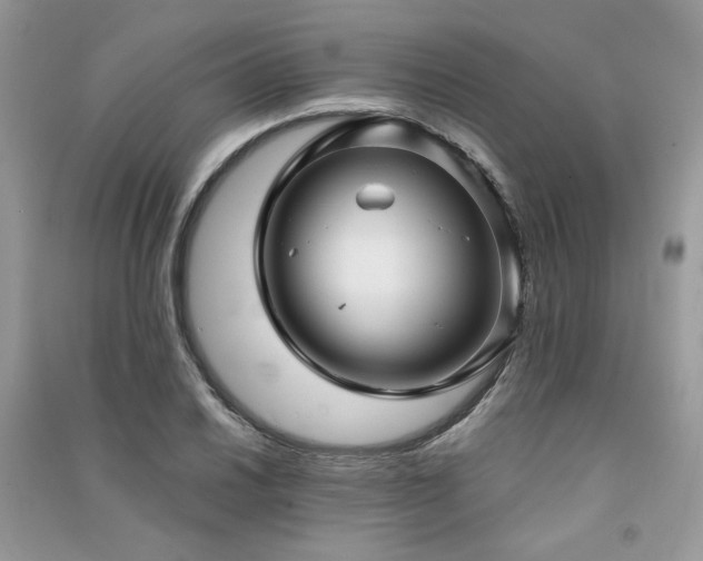 X0000091301030200708101303