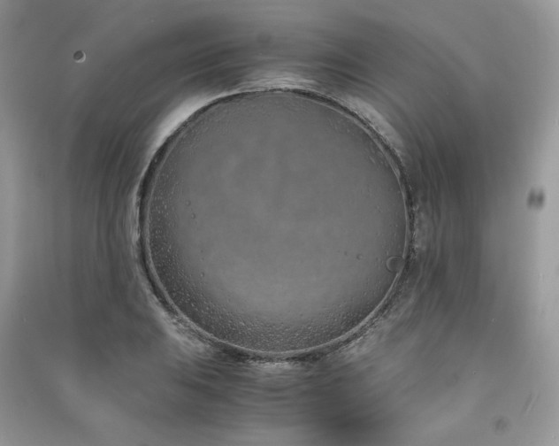 X0000091301031200708101303