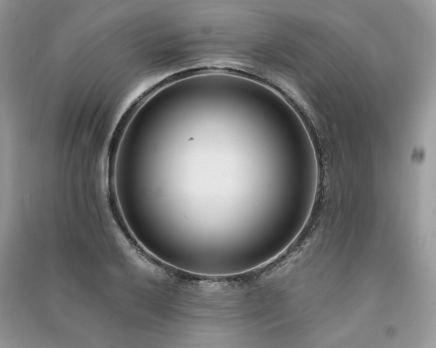 X0000091301032200708101303