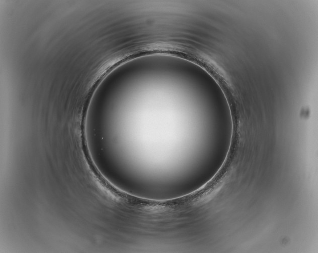 X0000091301033200708101303