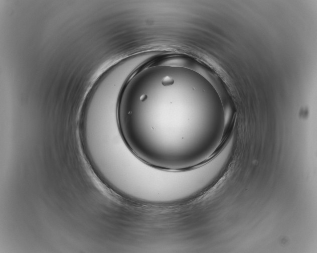X0000091301034200708101303