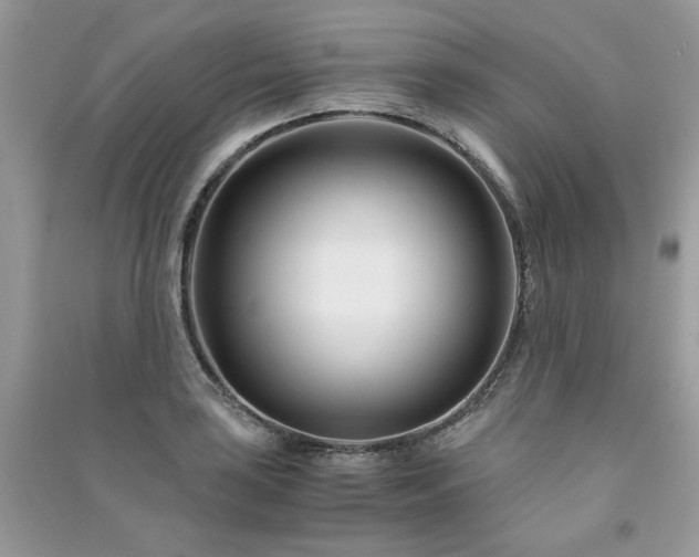 X0000091301035200708101303