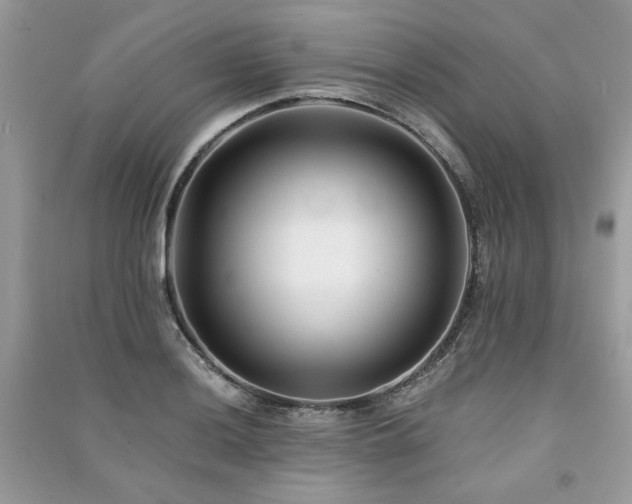 X0000091301036200708101303