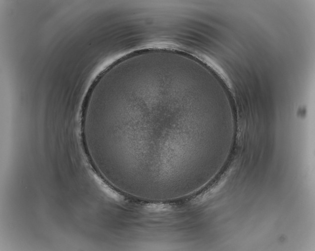 X0000091301037200708101303