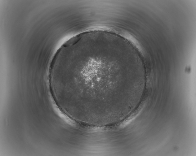 X0000091301038200708101303
