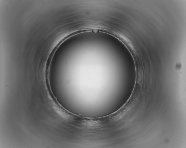 X0000091301039200708101303