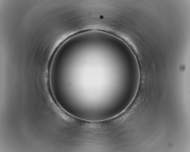X0000091301040200708101303