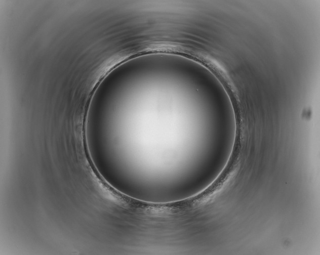 X0000091301041200708101303
