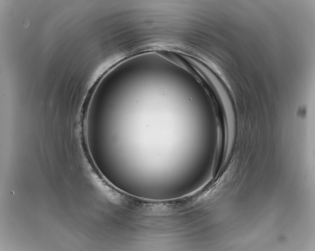 X0000091301042200708101303