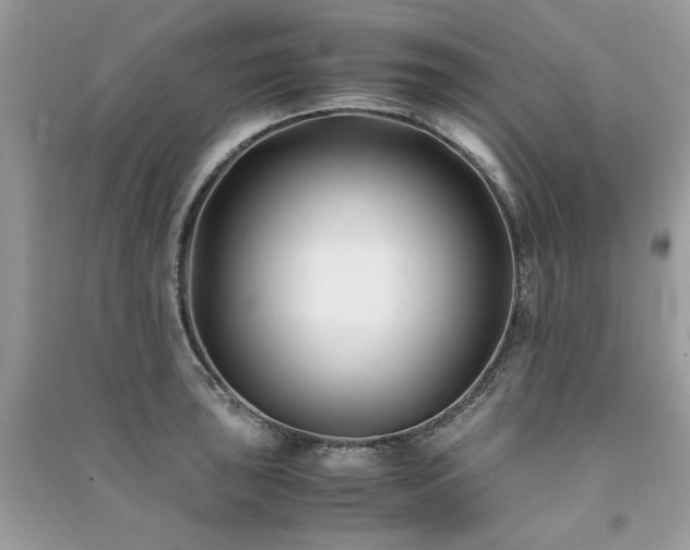 X0000091301043200708101303
