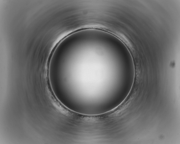 X0000091301044200708101303