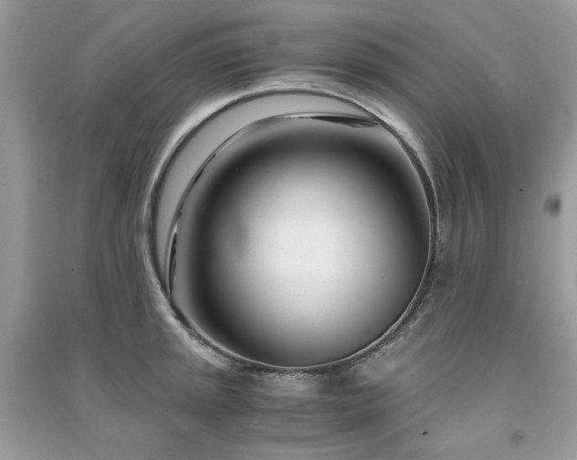 X0000091301045200708101303