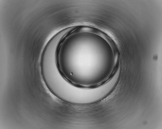 X0000091301046200708101303