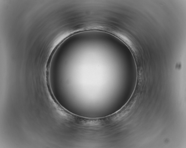 X0000091301047200708101303