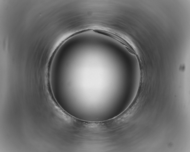 X0000091301048200708101303