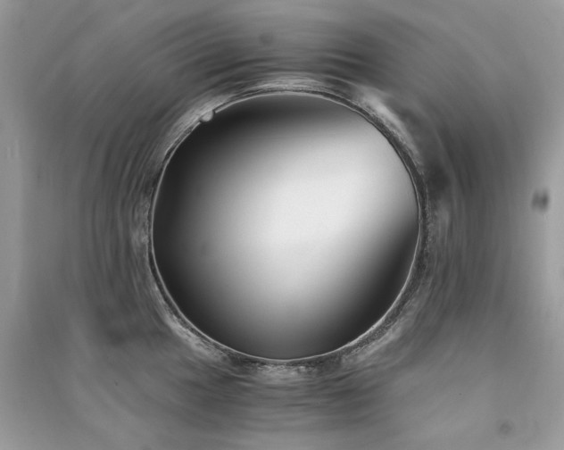 X0000091301049200708101303