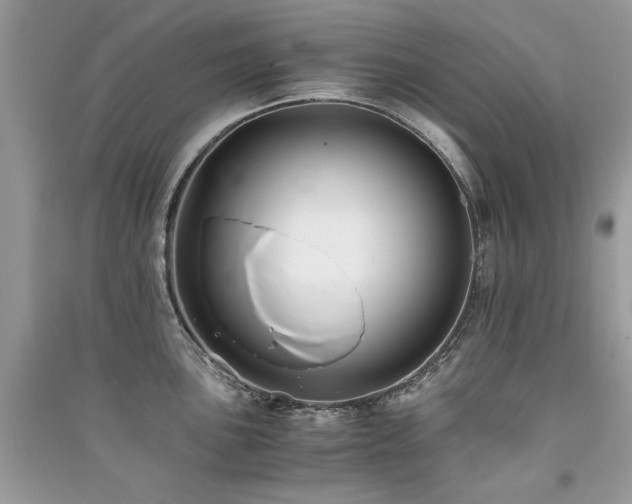 X0000091301051200708101303