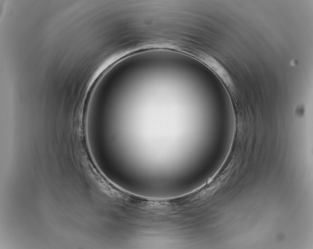 X0000091301052200708101304
