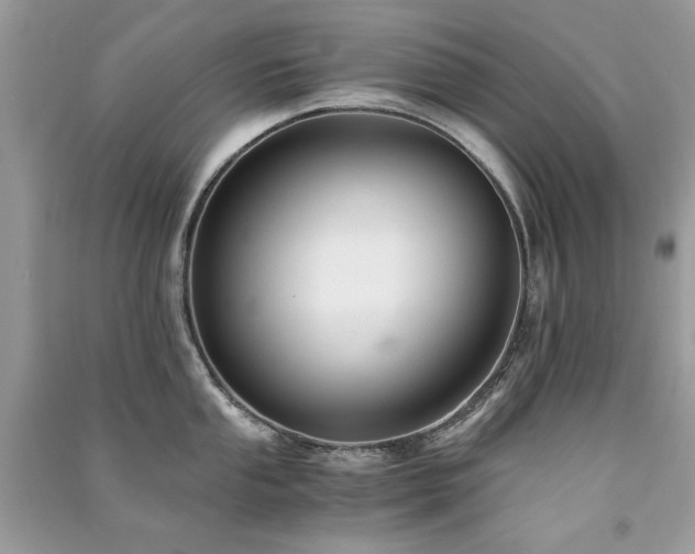 X0000091301053200708101304
