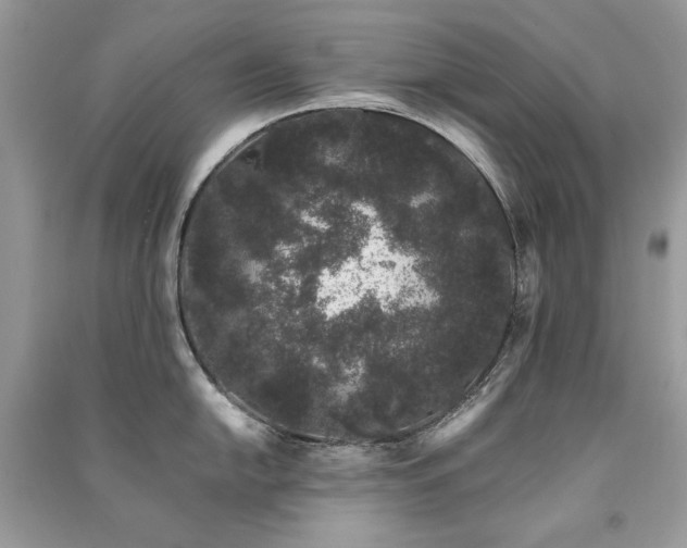 X0000091301054200708101304