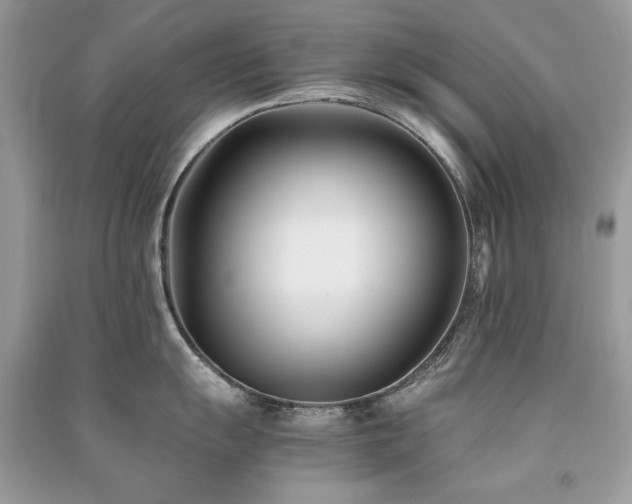 X0000091301055200708101304