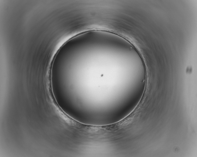 X0000091301056200708101304