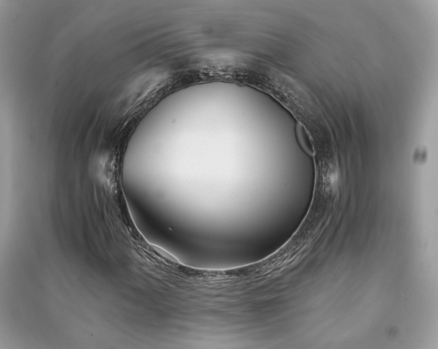X0000091301060200708101303