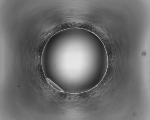 X0000091301061200708101303