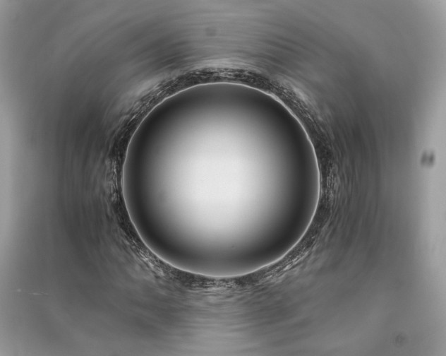 X0000091301062200708101303