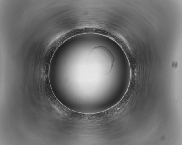 X0000091301064200708101303
