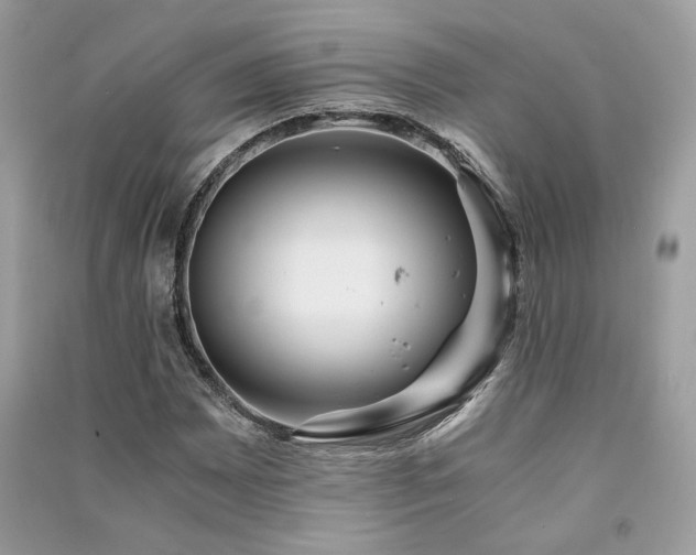 X0000091301065200708101303