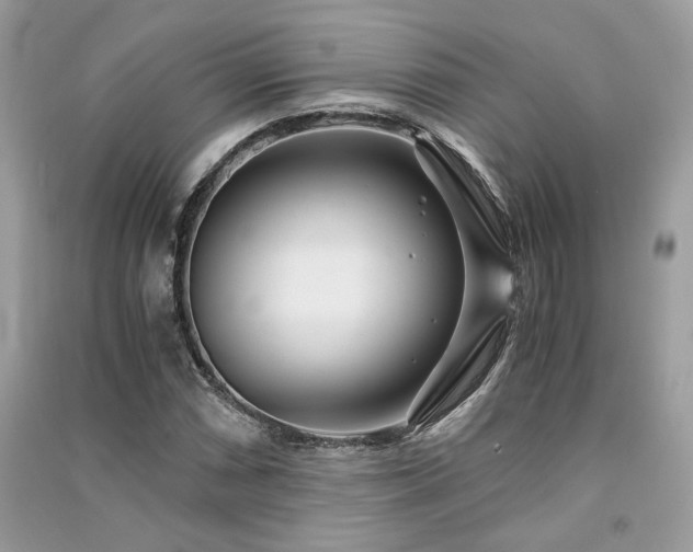 X0000091301066200708101303