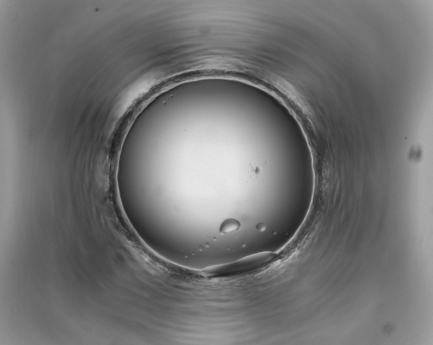 X0000091301067200708101303