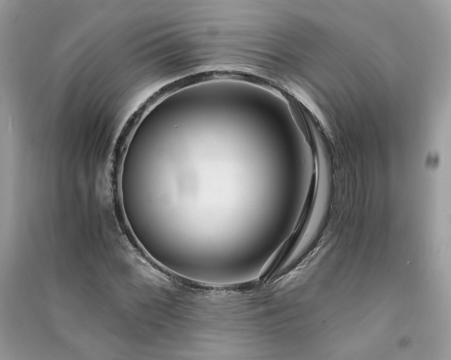 X0000091301068200708101303