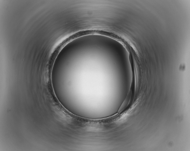 X0000091301069200708101303