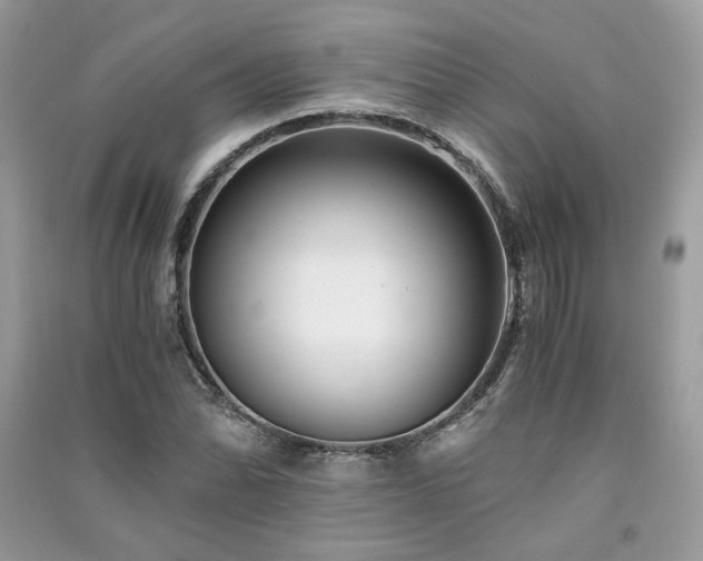 X0000091301070200708101303