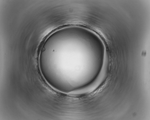 X0000091301071200708101303