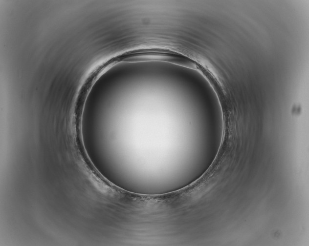 X0000091301072200708101303