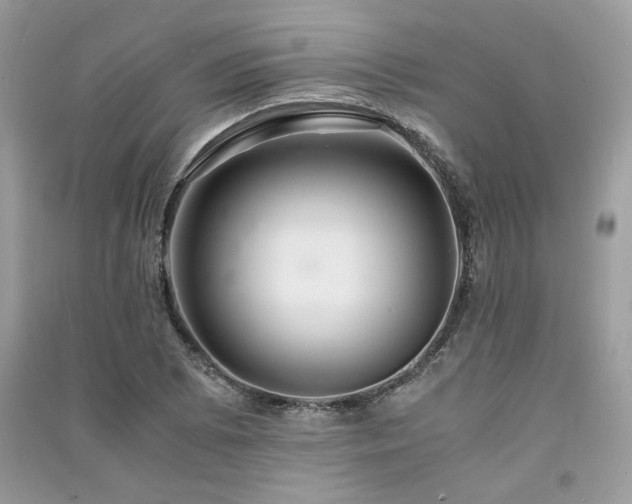 X0000091301073200708101303