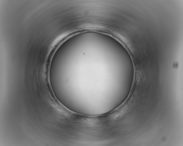 X0000091301074200708101303