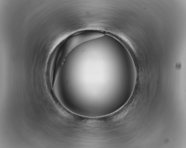 X0000091301077200708101303